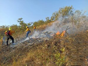 SAN LUIS INCENDIO DE PASTIZALES (2)