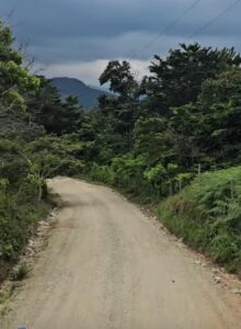 TLACO LA CARRETERA