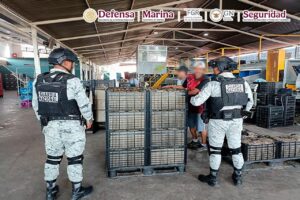roja plan michoacan (1)