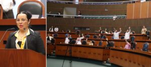 CONGRESO MIRNA GUADALUPE CORIA