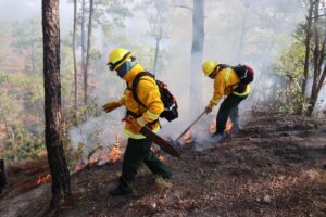 ESTADO INCENDIOS (1)