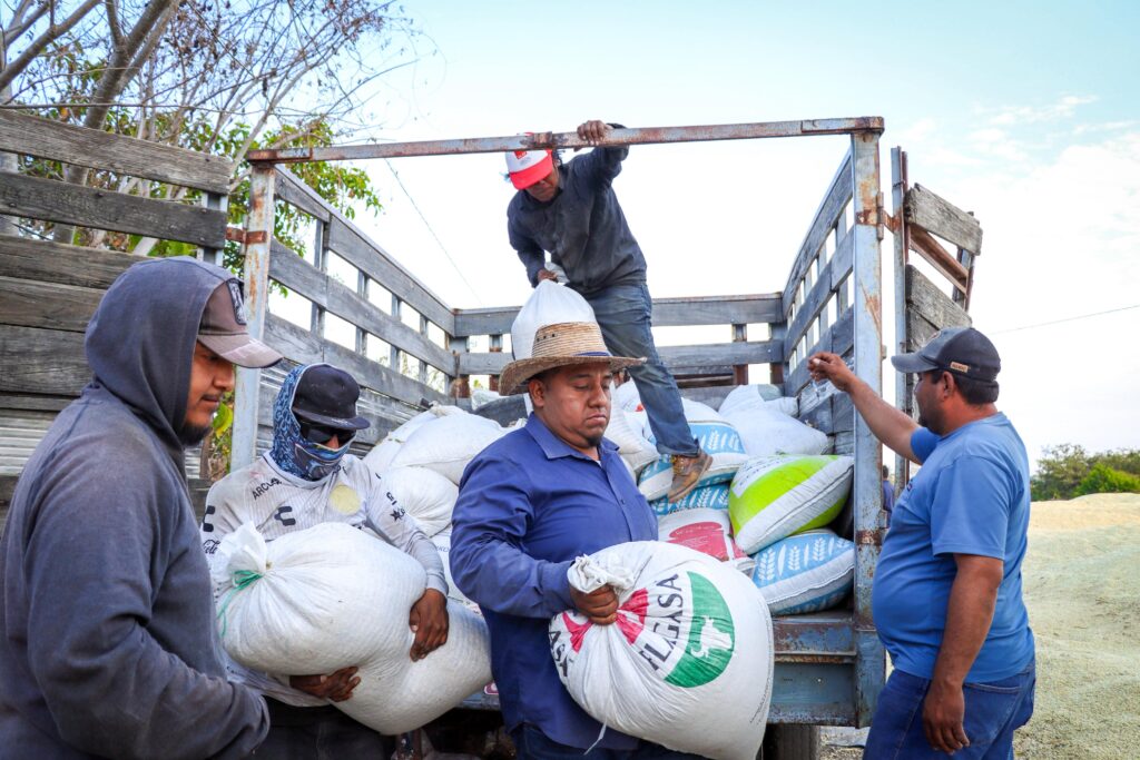 ESTADO-SAGADEGRO-MAIZ-4-1024x683.jpg