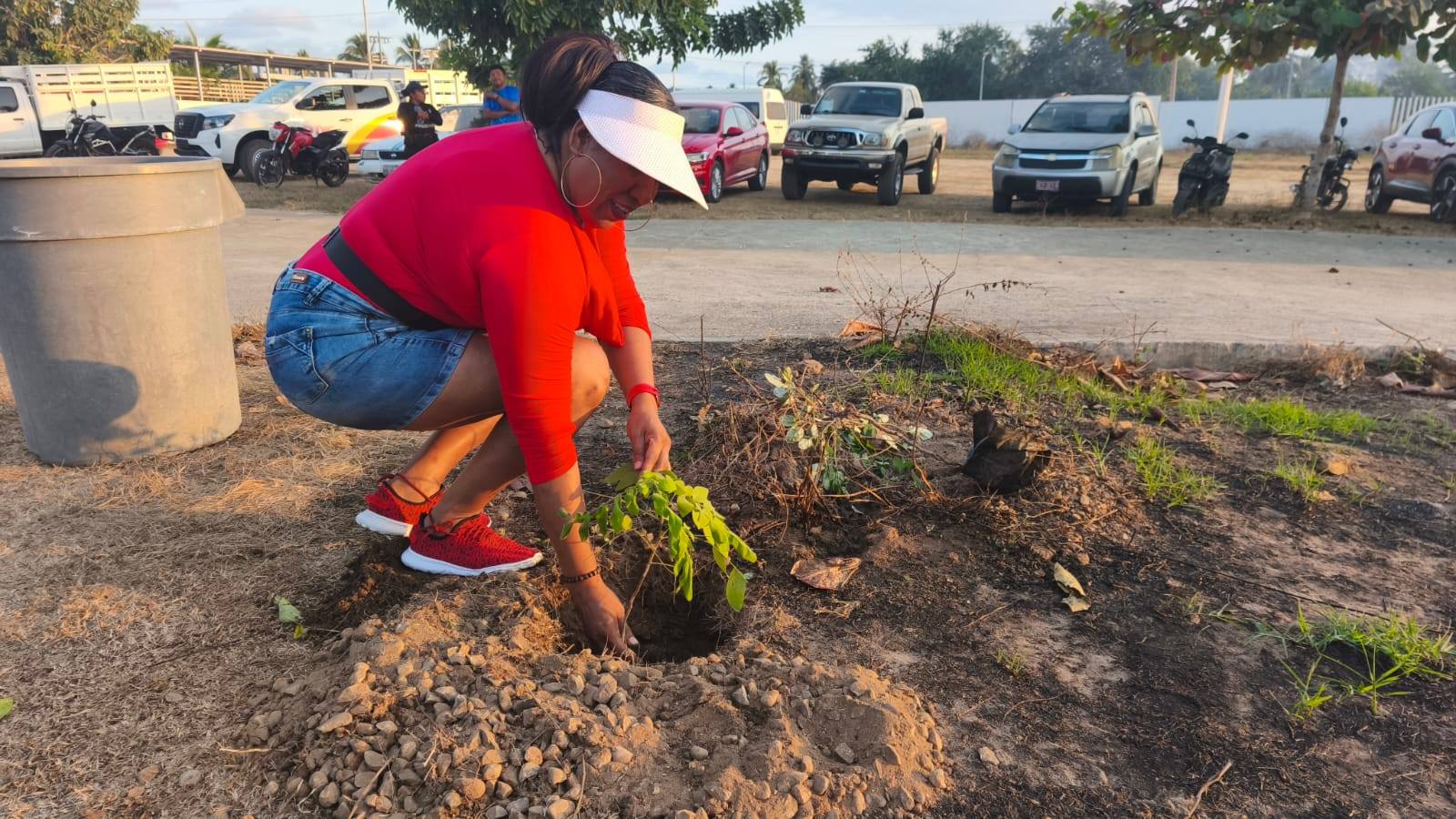Reforestan Unidad Deportiva de Marquelia - El Faro de la Costa Chica
