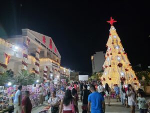 SAN LUIS TIANGUIS DE DÍA DE REYES (1)