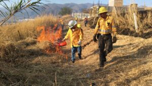 ESTADO PC INCENDIOS (4)