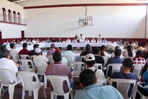 estado octava region (4)