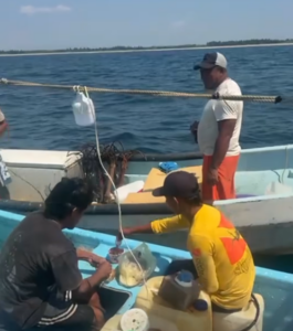 roja pescadores 1