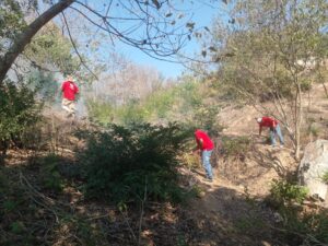 BOLETÍN CUAUTEPEC TRABAJOS (1)