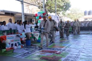 ESTADO CAMPAÑA DENGUE (4)