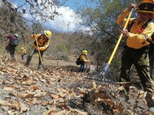 ESTADO INCENDIOS GUARDARAYAS (1)