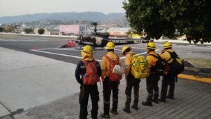 ESTADO VOLUNTARIOS (1)