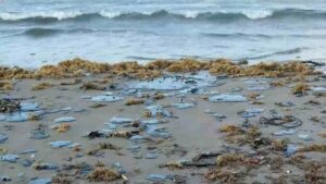 NACIONAL PLAYAS CONTAMINADAS