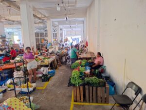 SAN LUIS COMERCIANTES EN EL MERCADO (4)