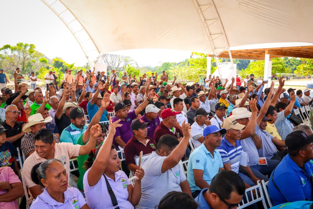TECOANAPA-GUSANO-BARRENADOR-4-1-1024x683.jpg