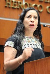 estado irene montiel servin