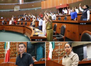 CONGRESO REFORMA A LA LOPL