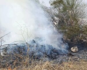 ILIATENCO EL INCENDIO