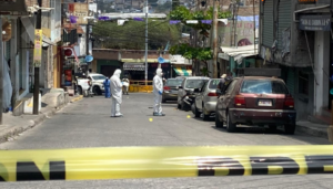 ROJA Colonia del PRI