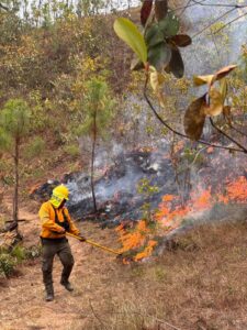 SAN LUIS CONAFOR ATIENDE INCENDIOS  (4)