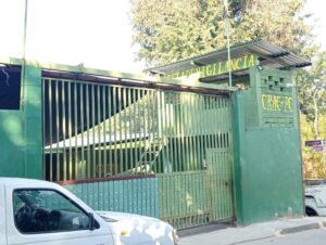 SAN LUIS CRAC VIOLA REGLAMENTO