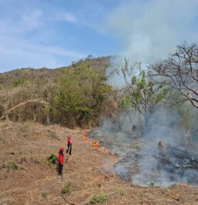 SAN LUIS INCENDIO DE PASTIZALES (2)