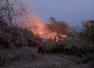 SAN LUIS LOS INCENDIOS (2)