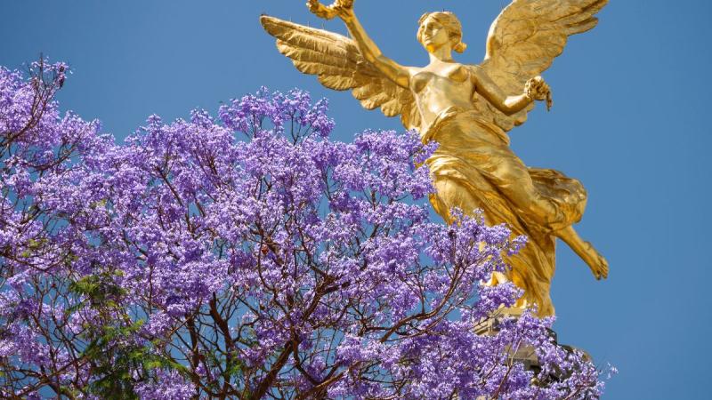 SOCIALES JACARANDAS (3)