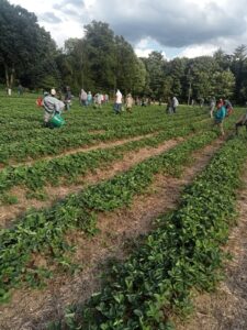 estado jornaleros canada (4)