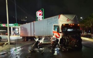 roja el trailer