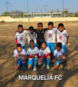 BOLETÍN MARQUELIA