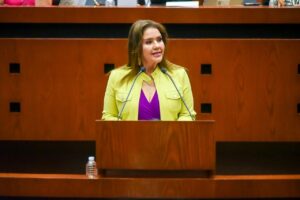 CONGRESO Erika Lührs Cortés