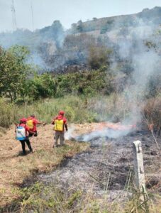 OME COMBATEN INCENDIO (1)
