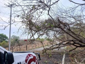 SAN LUIS AFECTACIONES TRAS LLUVIAS (2)