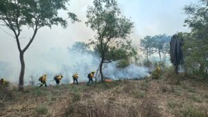 SAN LUIS COMBATEN INCENDIO (1)