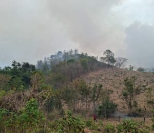SAN LUIS SOFOCAN INCENDIO (2)