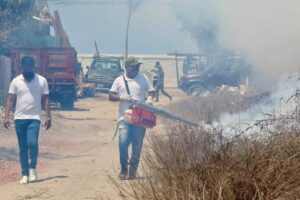 ESTADO ACAPULCO DENGUE (2)