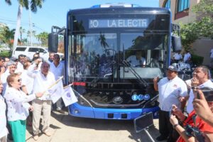 ESTADO NUEVOS CAMIONES (3)