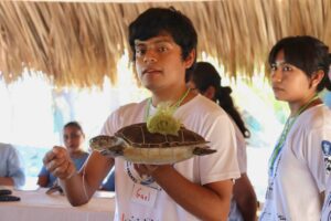 MARQUELIA CAMPAMENTOS TORTUGUEROS (2)