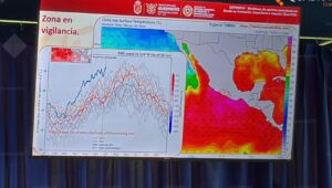 ESTADO EL NIÑO