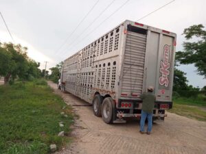 ESTADO SAGADEGRO SANIDAD ANIMAL (2)