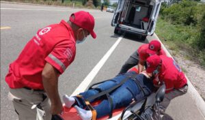 ROJA MAESTRA LESIONADA (2)