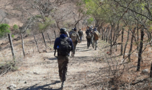 estado sierra de guerrero 1