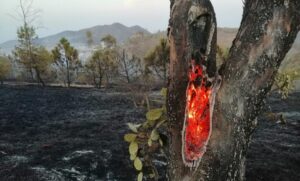 nacional incendios