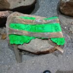 roja el joven atado (3)