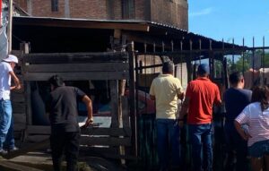 roja el taller