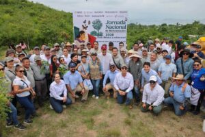 BOLETIN EVELYN REFORESTACION (3)