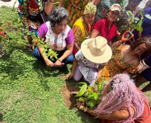 BOLETIN PATRICIA RAMIREZ (1)