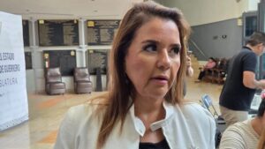 ESTADO ERICKA LUHRS CORTES