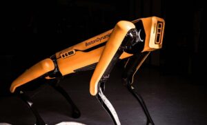 NACIONAL PERROS ROBOTS