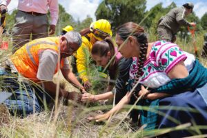 NACIONAL SHEINBAUM REFORESTACION (4)